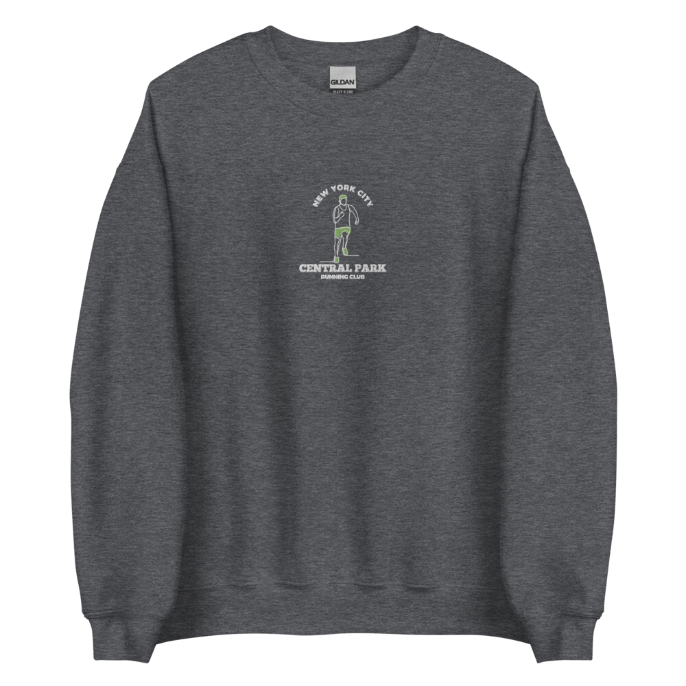 picture of grey nyc embroidered sweatshirt