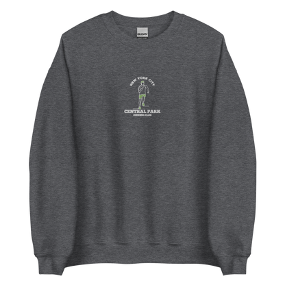 picture of grey nyc embroidered sweatshirt