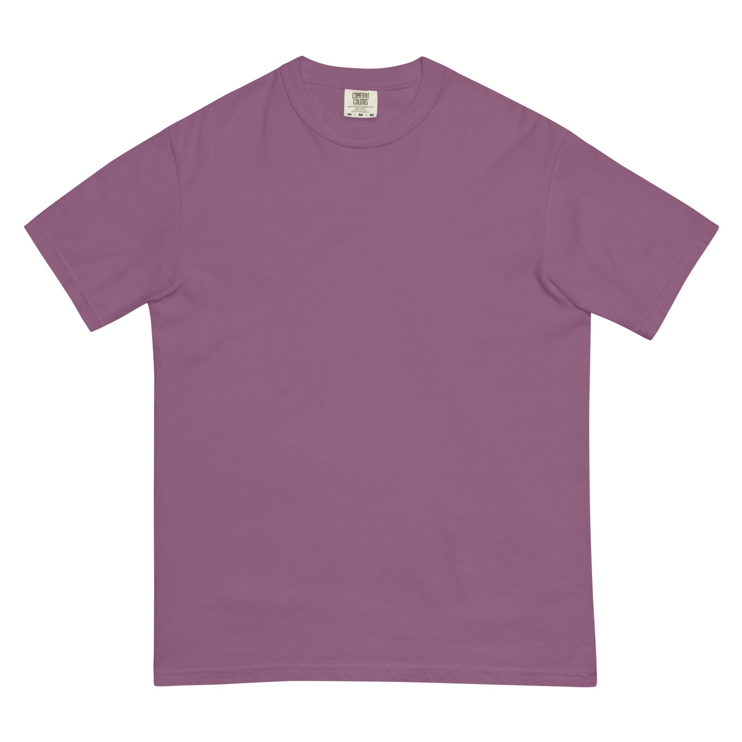 Venice Beach men garment-dyed heavyweight t-shirt