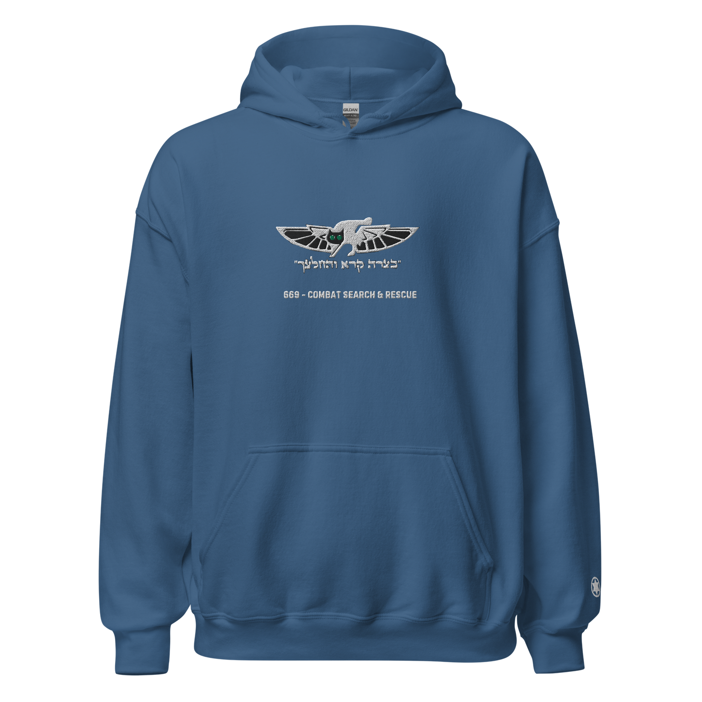 669 search and rescue men's  Hoodie