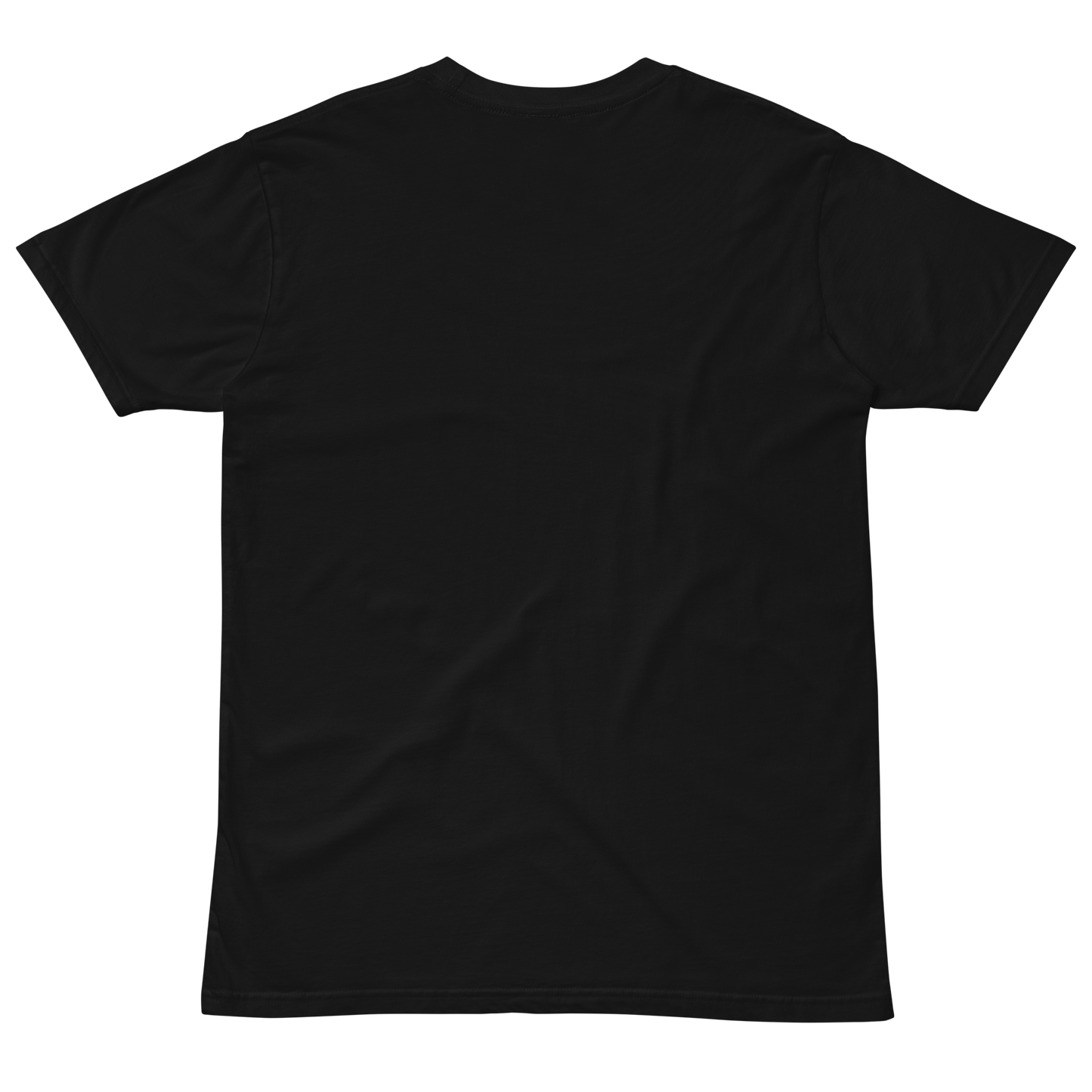 Ride Men's premium t-shirt